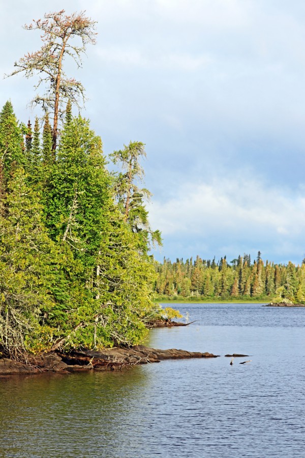 Bonar Lake I by Deb Oppermann